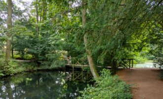 Woodland path by water with a footbridge across it