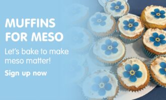 Muffins for meso landscape
